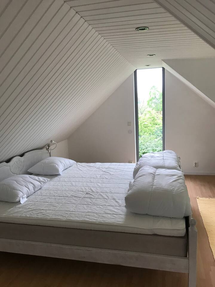 ห้องนอนขนาดใหญ่พร้อมเตียงคู่หน้าต่างสูงหันหน้าไปทางทิศใต้