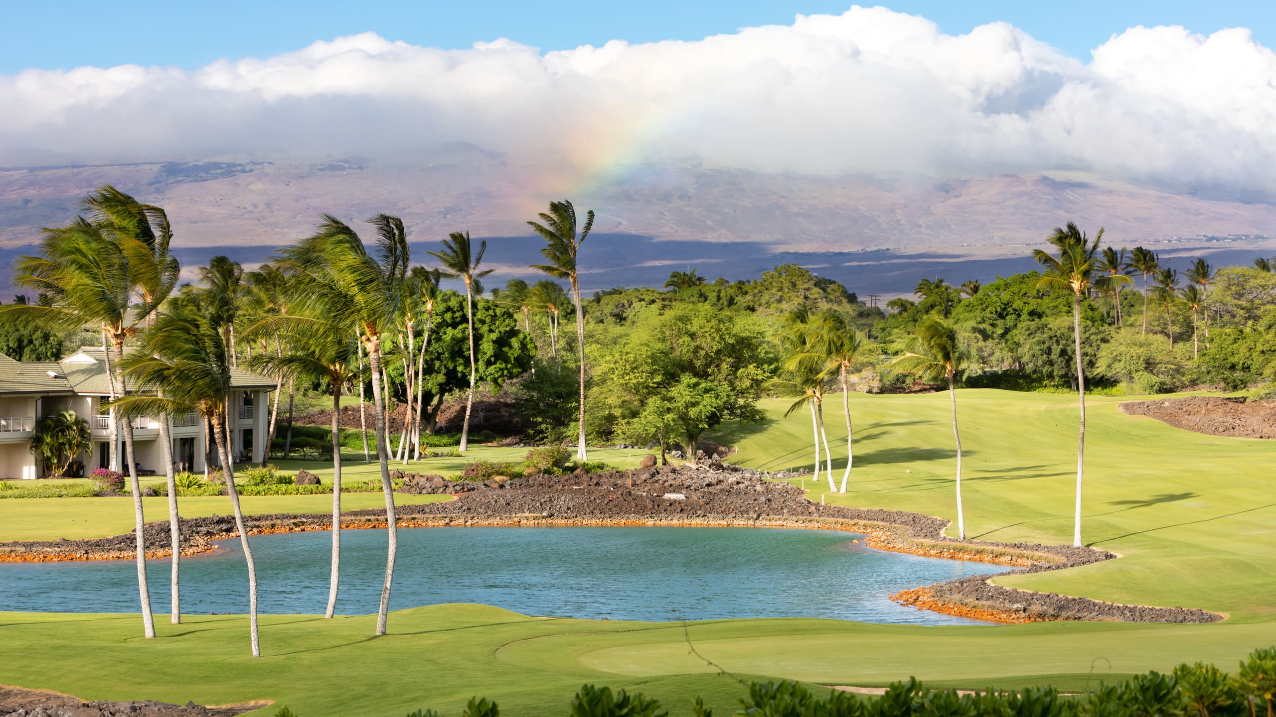 Home in Waimea · ★5.0 · 4 bedrooms · 8 beds · 4.5 baths - Image 62