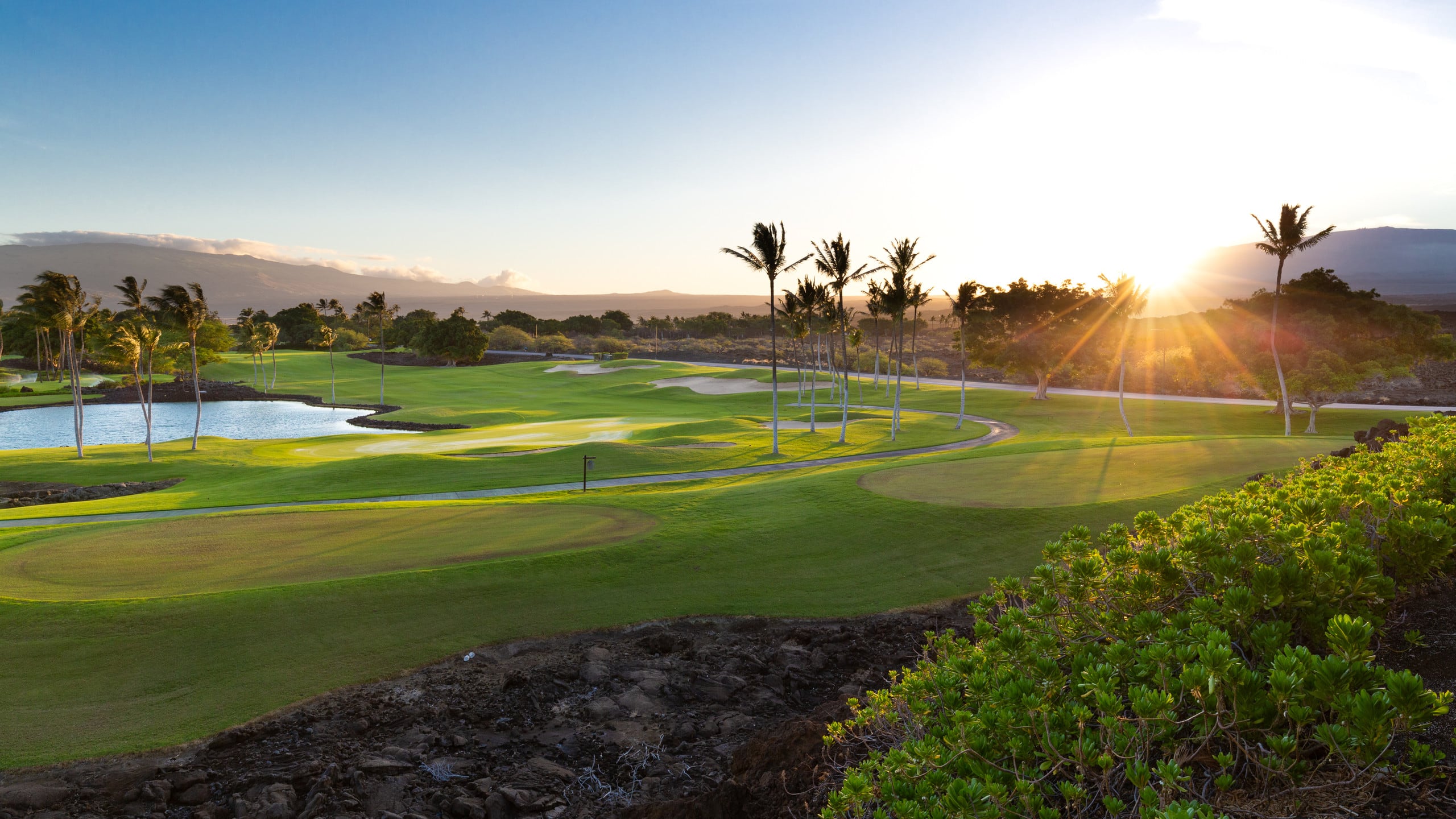 Home in Waimea · ★5.0 · 4 bedrooms · 8 beds · 4.5 baths - Image 61
