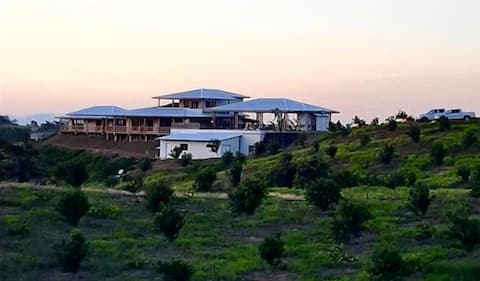 comfy house in a macadamia farm
