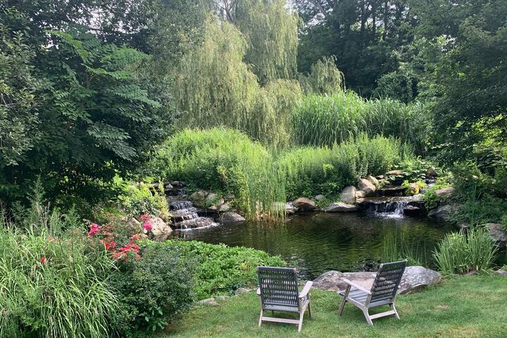 Sun-drenched, open layout with tranquil koi pond gallery image 4