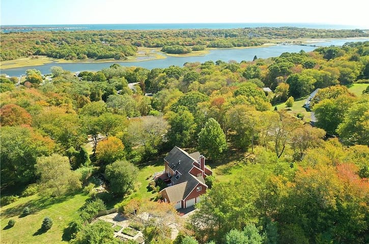 Sun-drenched, open layout with tranquil koi pond