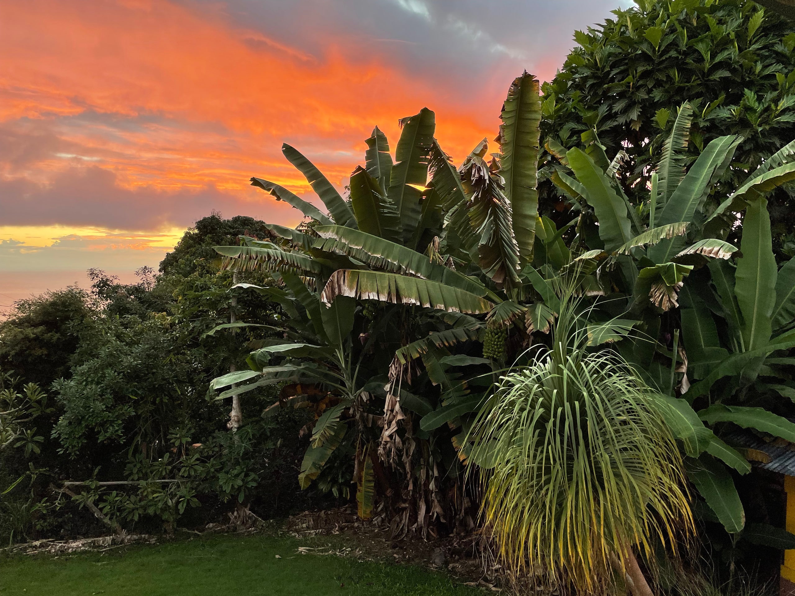 Home in Kealakekua · ★4.93 · 3 bedrooms · 3 beds · 2.5 private baths - Image 10