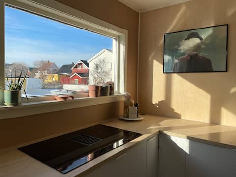 The house in Nansens