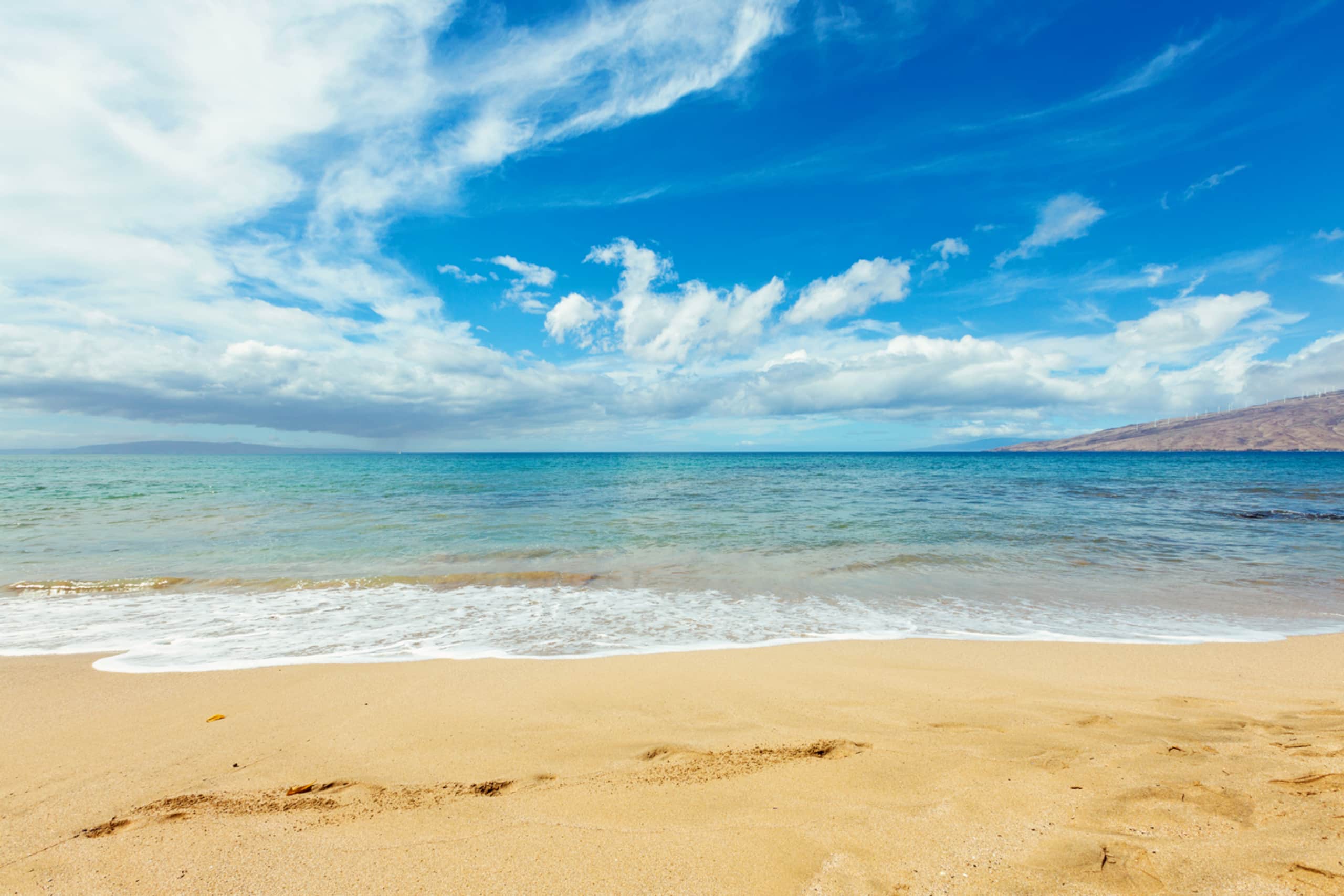 Condo in Kihei · ★4.87 · 2 bedrooms · 3 beds · 1 bath - Image 35