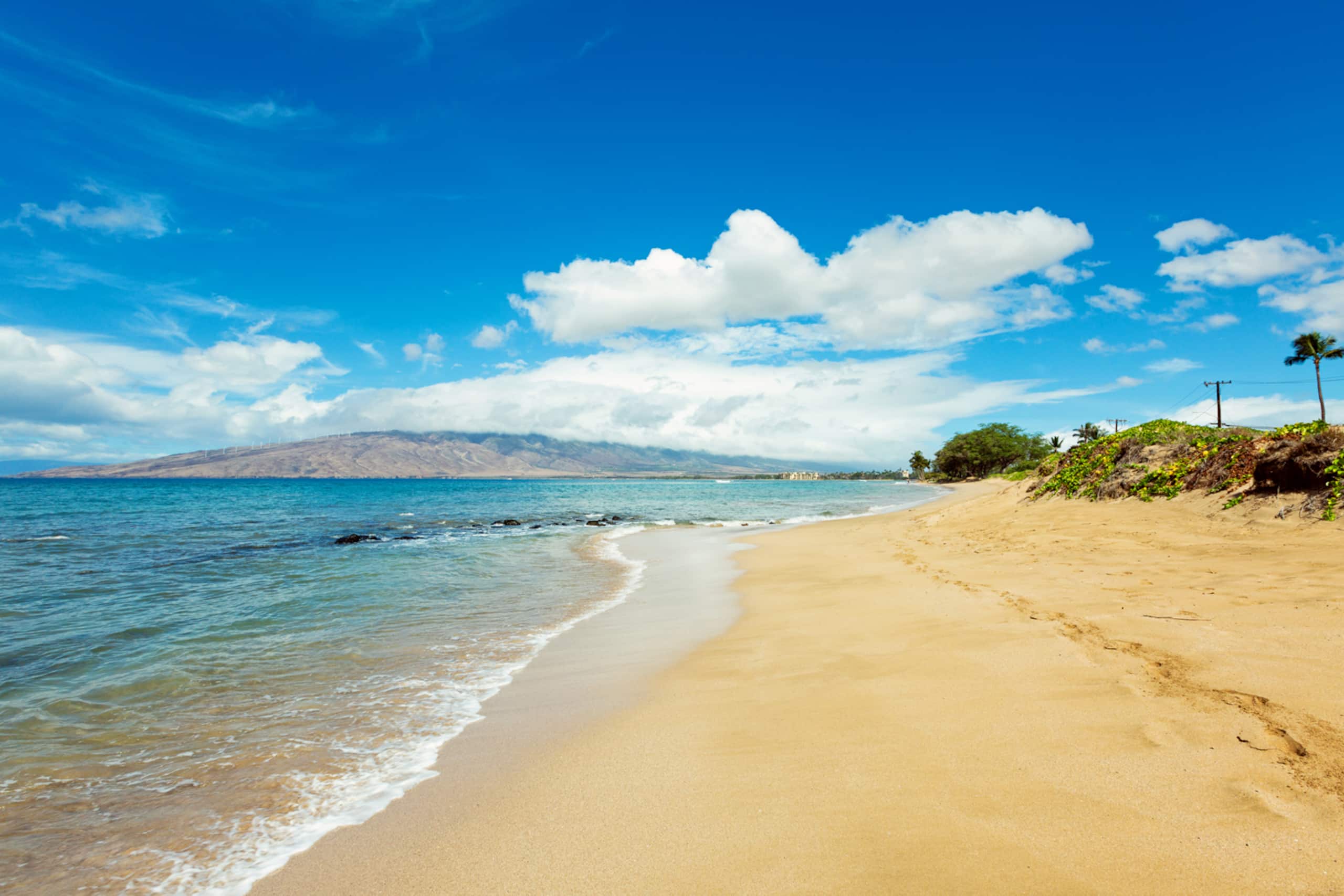 Condo in Kihei · ★4.87 · 2 bedrooms · 3 beds · 1 bath - Image 39