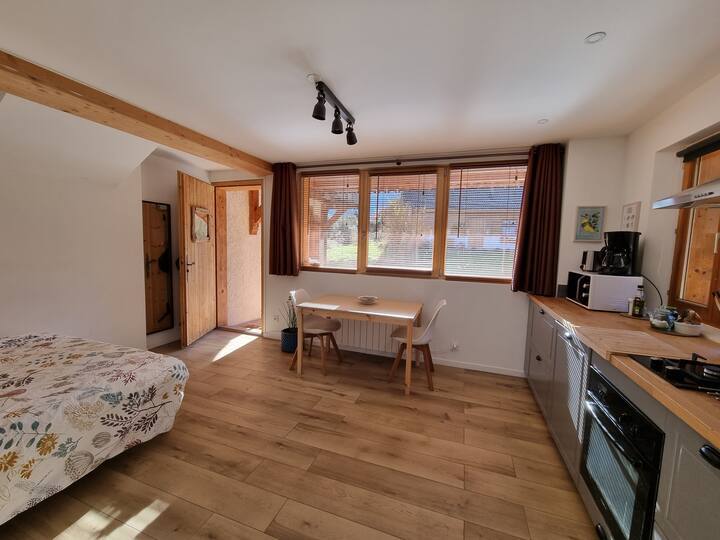 Studio Lumineux Refait à Neuf - Lac D'annecy - Doussard