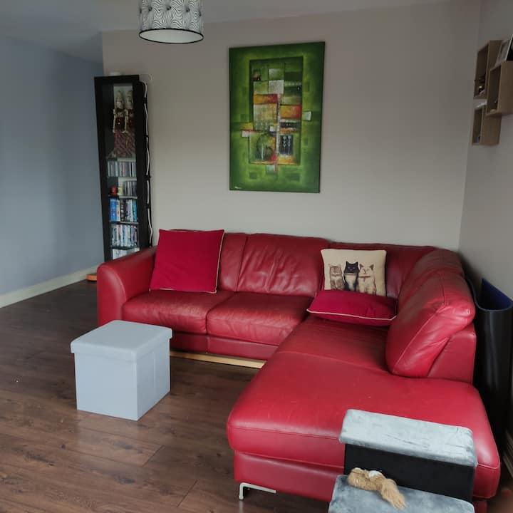 Cabin and Apartment Vacation Rentals in Dublin Airport Airbnb