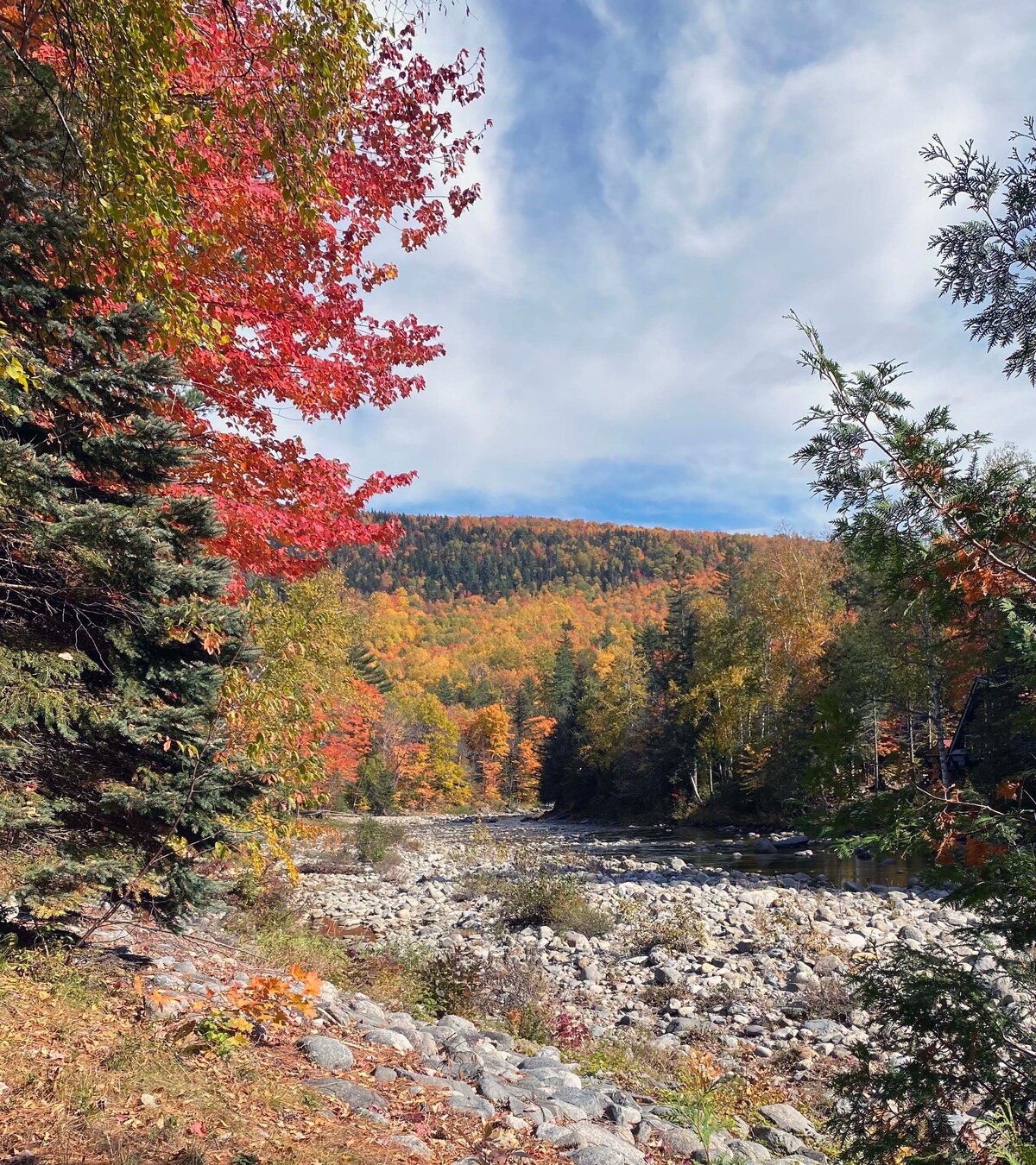 Cabin on the Carrabassett River w/ Sandy Beach Cabins for Rent in