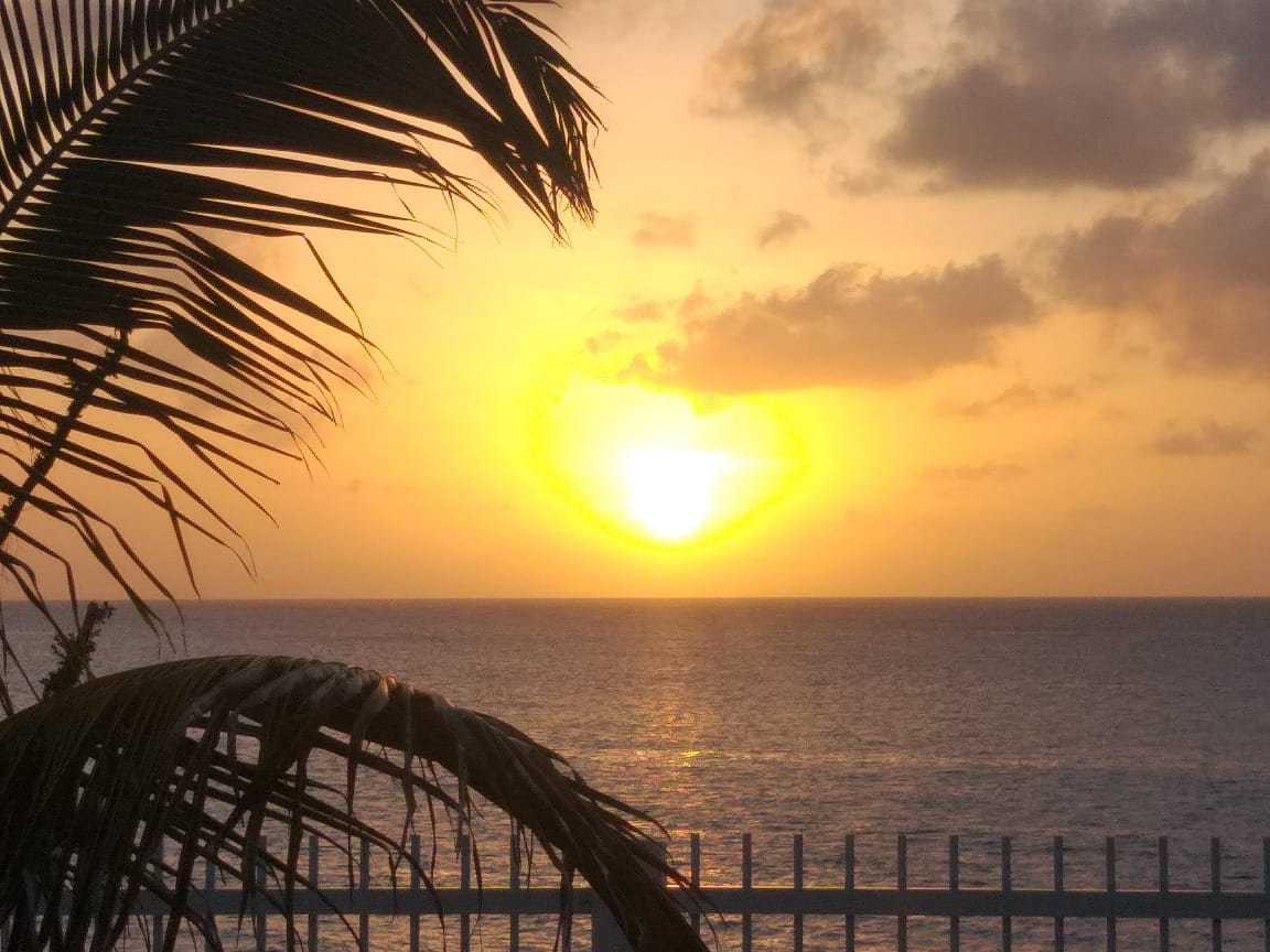 A sunset is viewed over the ocean, creating a warm golden glow in the sky. Silhouettes of palm leaves frame the scene, while the calm sea reflects the hues of orange and yellow, enhancing the tranquil environment.