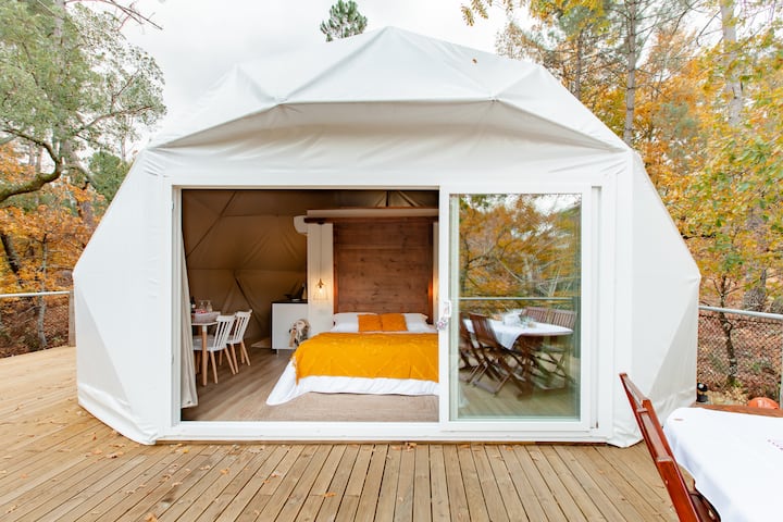 Foals' Haven - Glamping