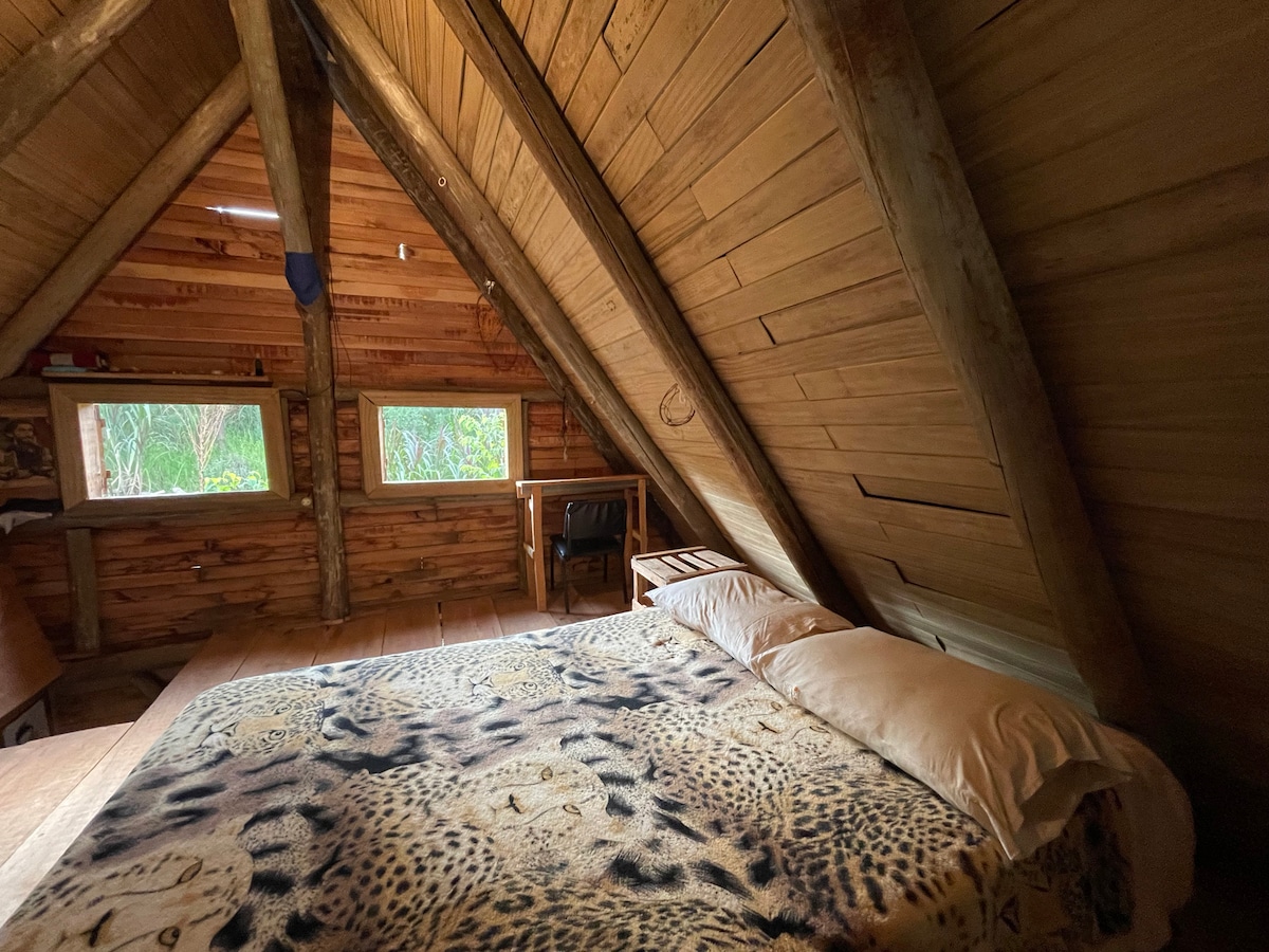 საძინებელი