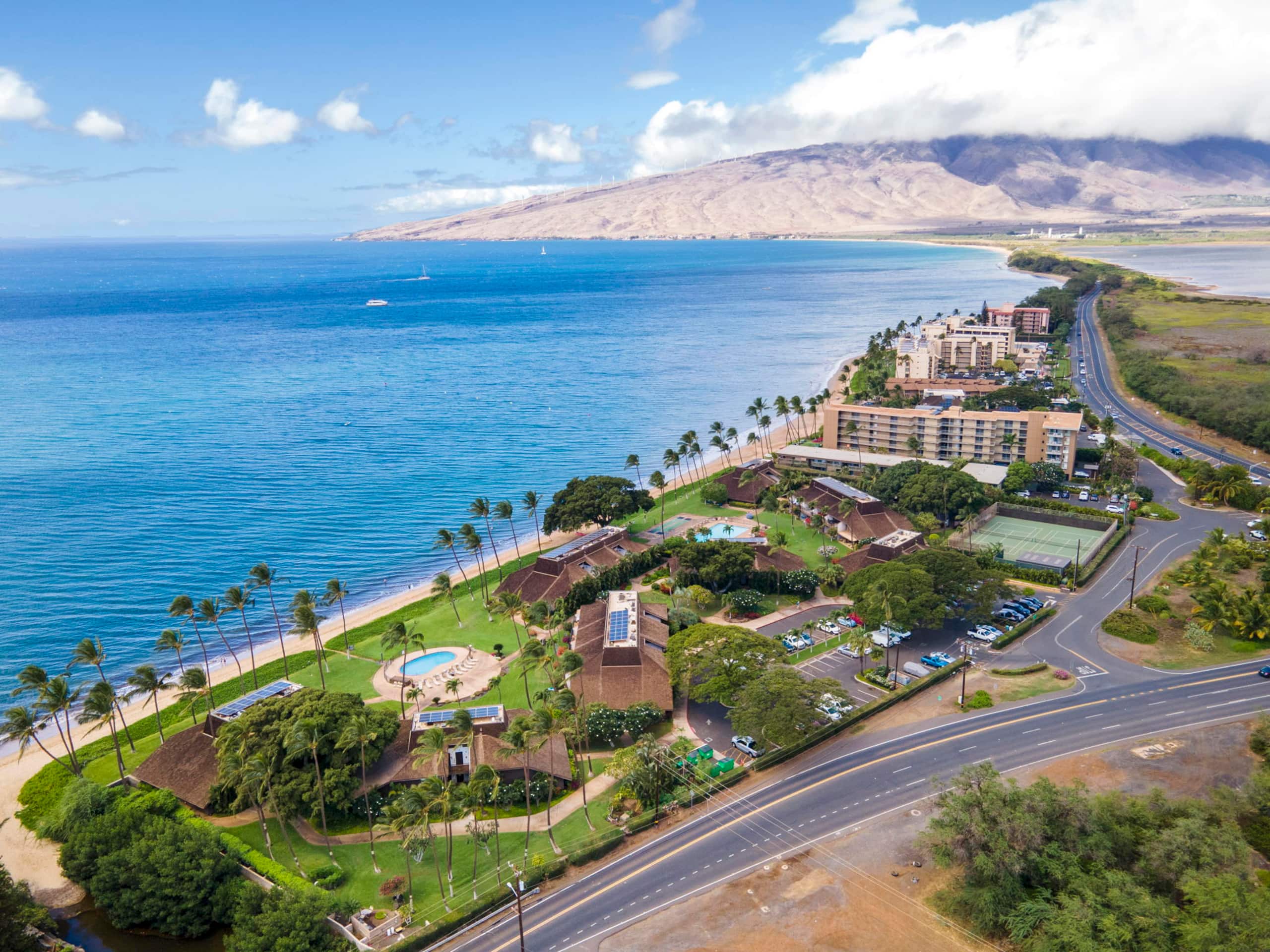 Condo in Kihei · ★5.0 · 2 bedrooms · 2 beds · 2 baths - Image 33