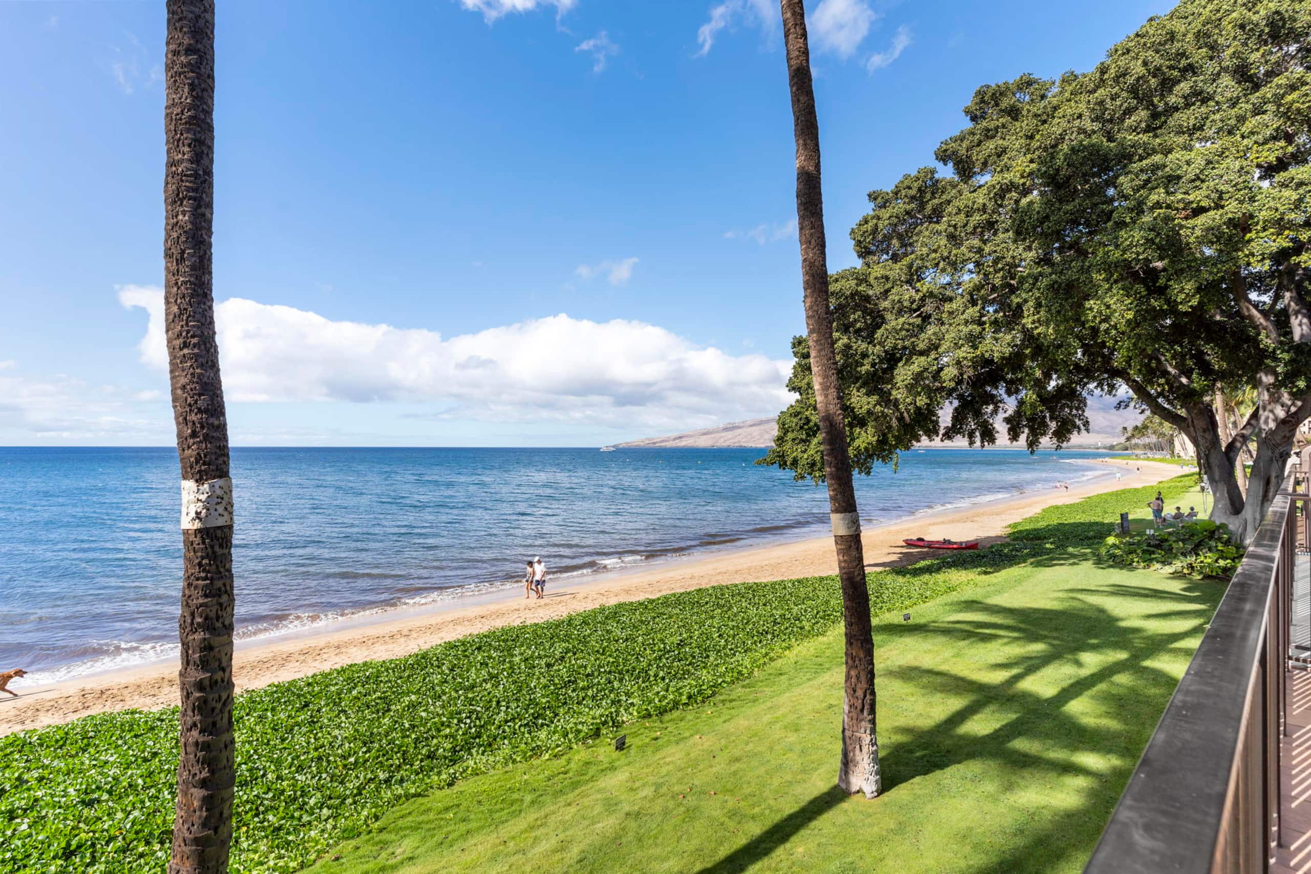 Condo in Kihei · ★5.0 · 2 bedrooms · 2 beds · 2 baths - Image 26