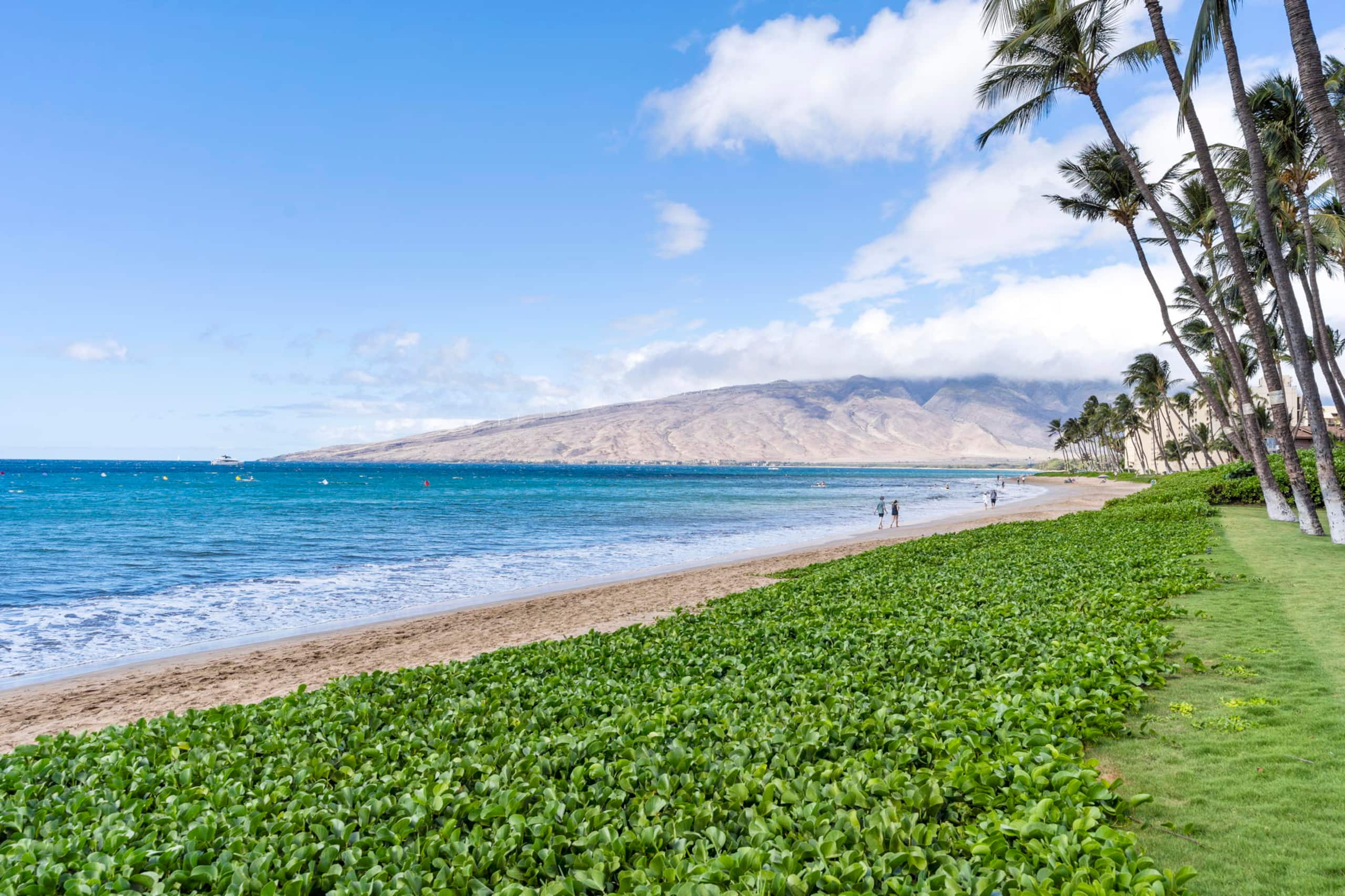 Condo in Kihei · ★5.0 · 2 bedrooms · 2 beds · 2 baths - Image 34