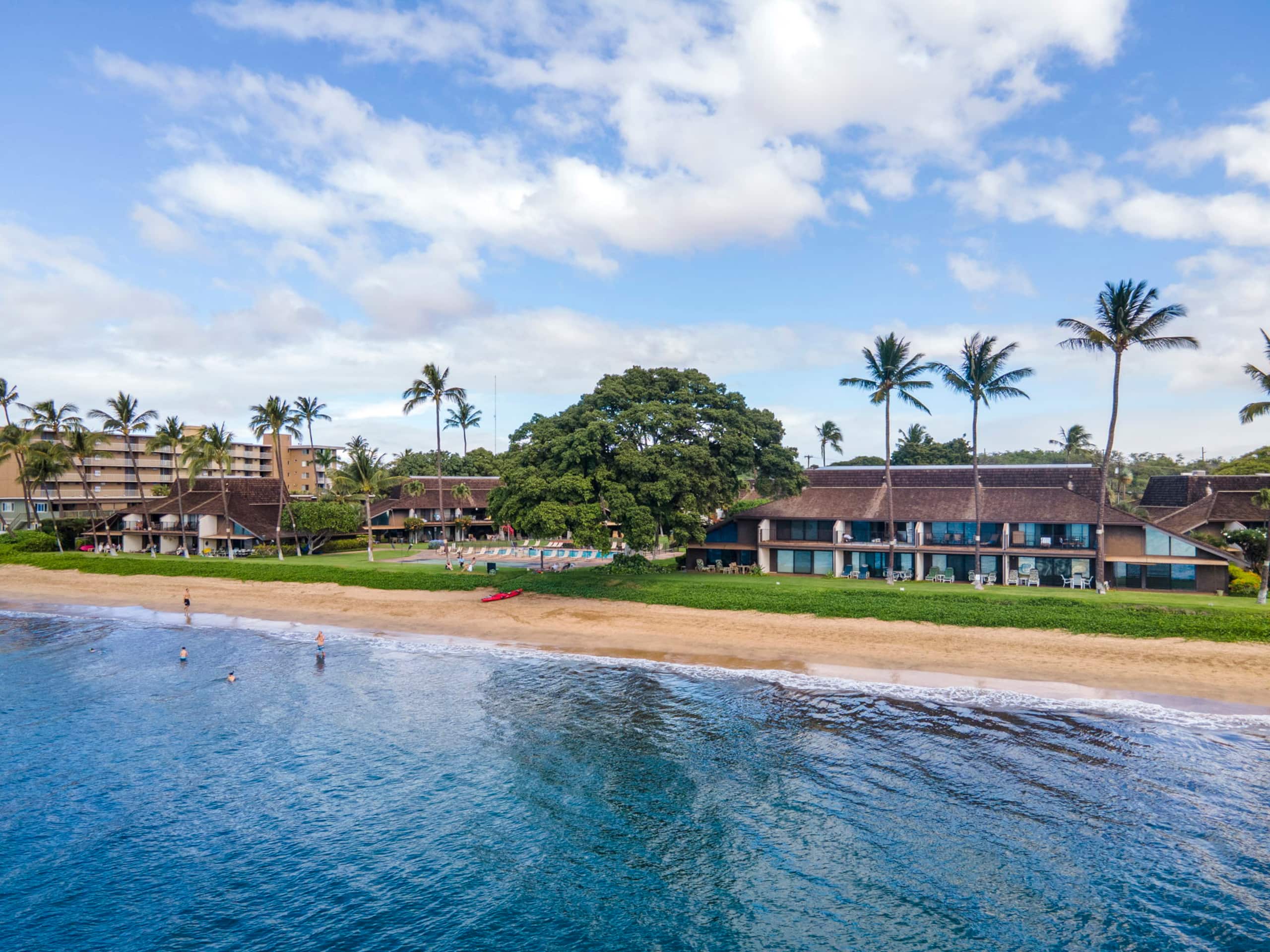 Condo in Kihei · ★5.0 · 2 bedrooms · 2 beds · 2 baths - Image 24