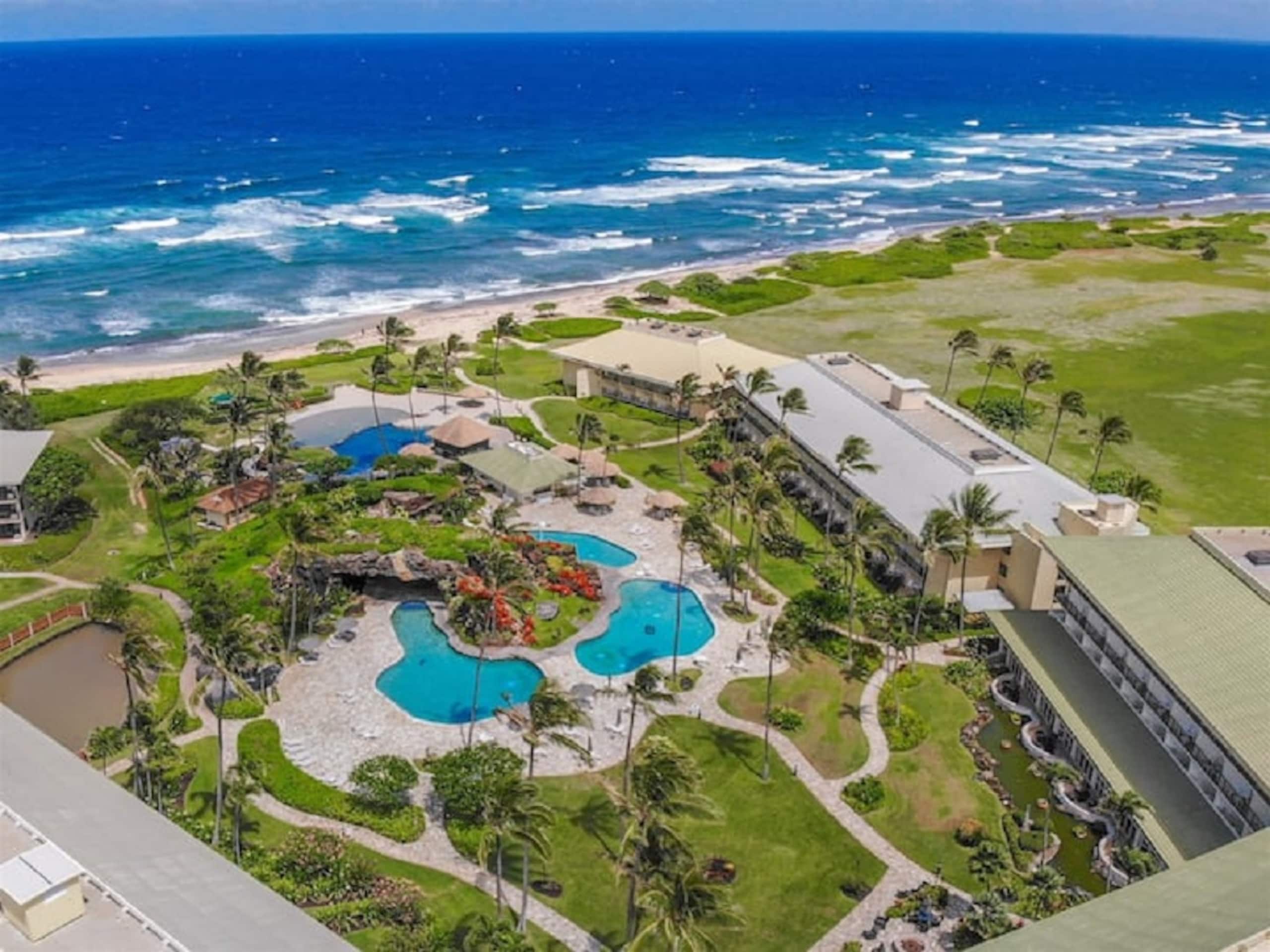 Condo in Lihue · ★4.86 · 1 bedroom · 1 bed · 1 shared bath - Image 1