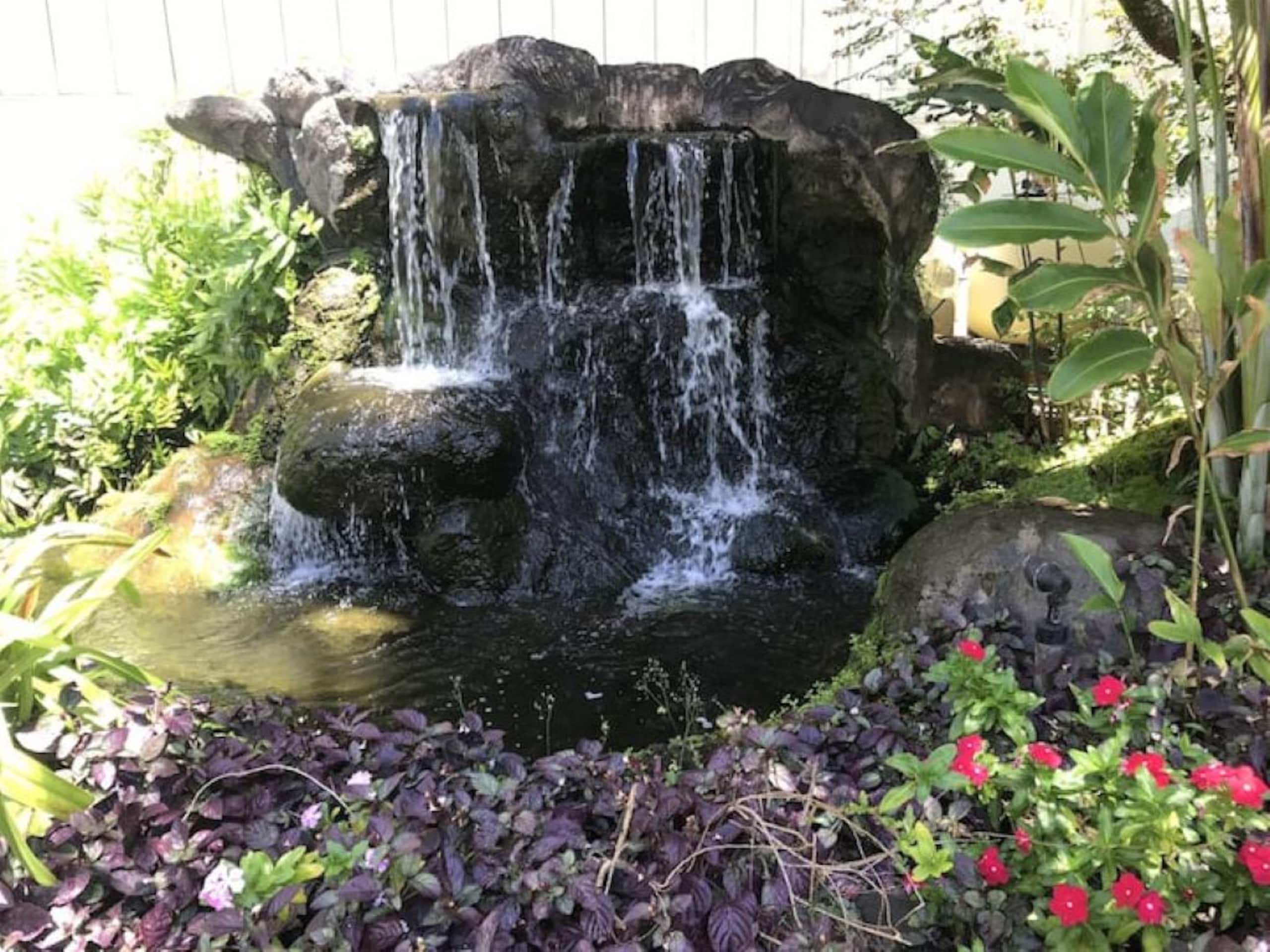 Condo in Lihue · ★4.86 · 1 bedroom · 1 bed · 1 shared bath - Image 14