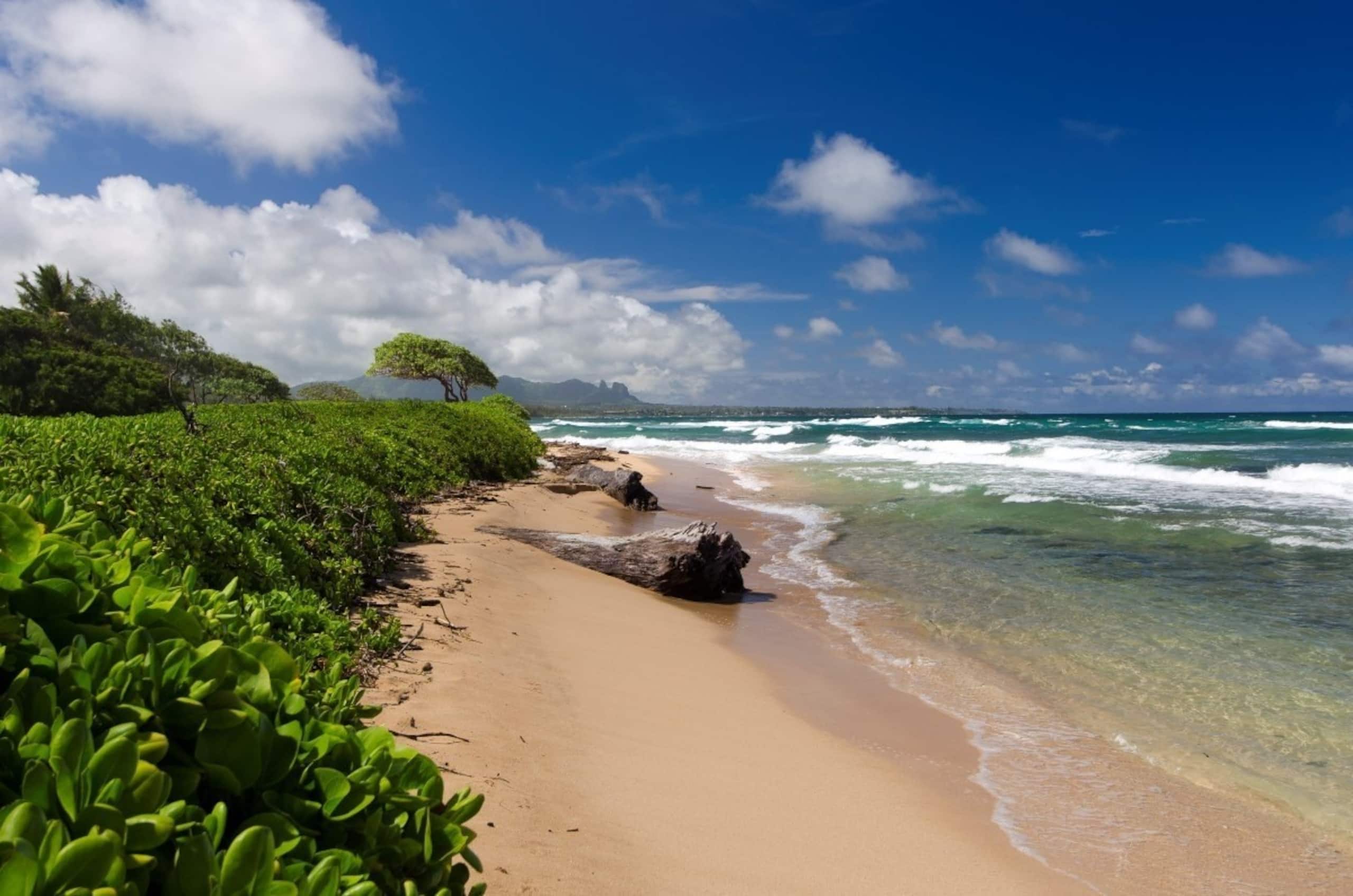 Condo in Lihue · ★4.62 · 1 bedroom · 1 bed · 1 private bath - Image 36