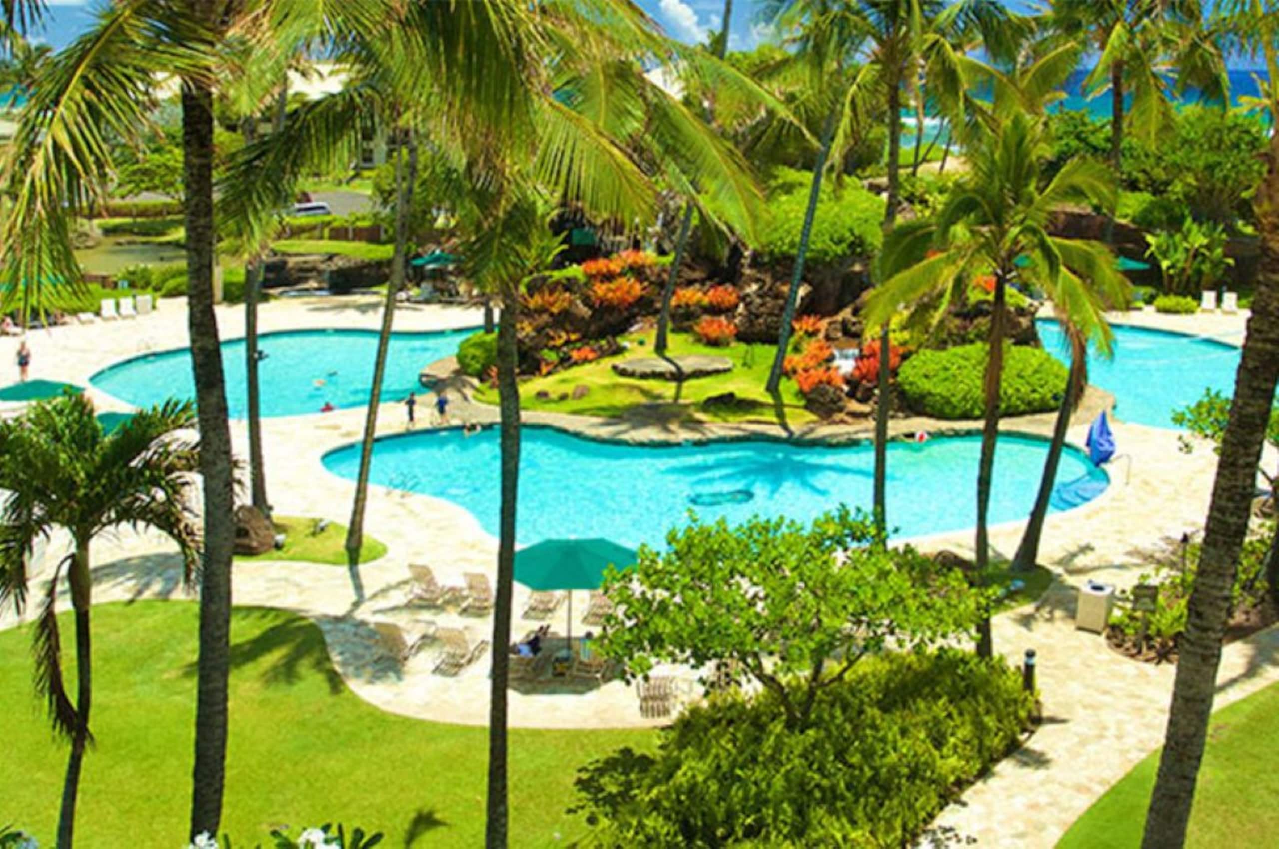 Condo in Lihue · ★4.62 · 1 bedroom · 1 bed · 1 private bath - Image 27