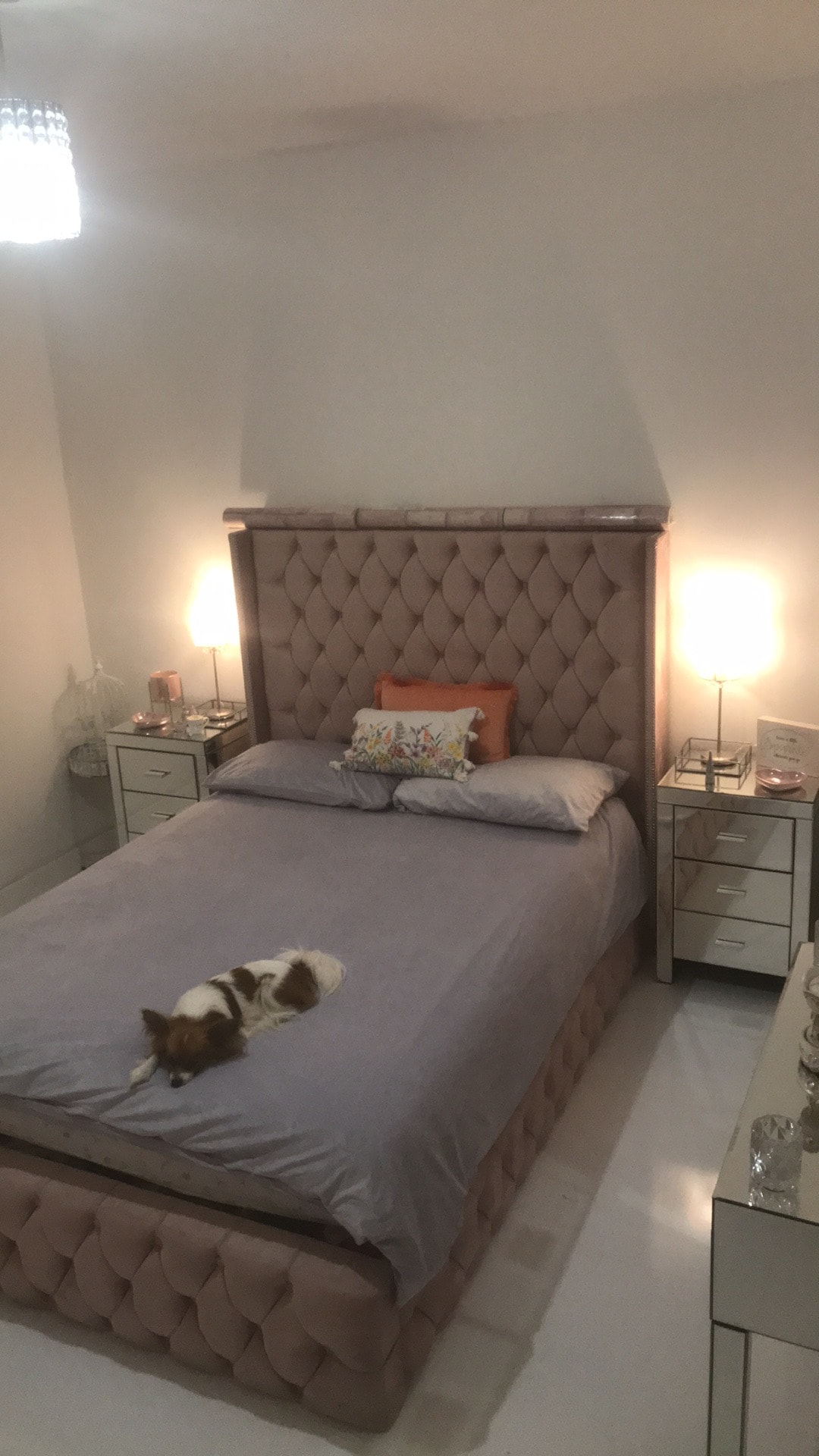 A cozy bedroom features a plush bed with a tufted headboard and soft linens. Two bedside tables with lamps frame the bed, providing gentle illumination. A small dog lies peacefully on the bed, adding a touch of warmth to the inviting space.
