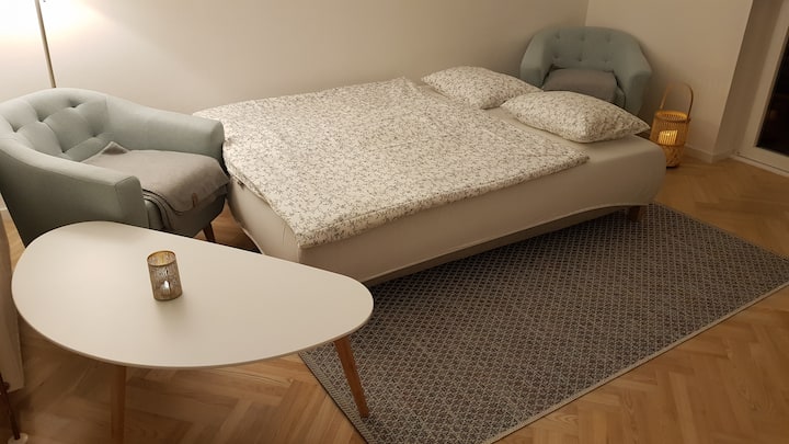 سرير أريكة في غرفة المعيشة (160 × 200)