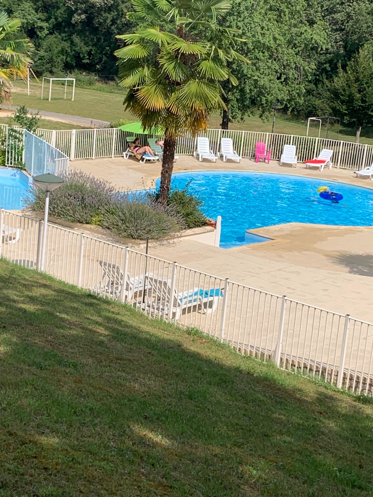 A sunny swimming pool area is surrounded by a white fence, featuring a clear blue water surface. Several lounge chairs are arranged around the pool, with palm trees and shrubs adding greenery to the space. A grassy slope leads down to the pool area, providing a scenic view.
