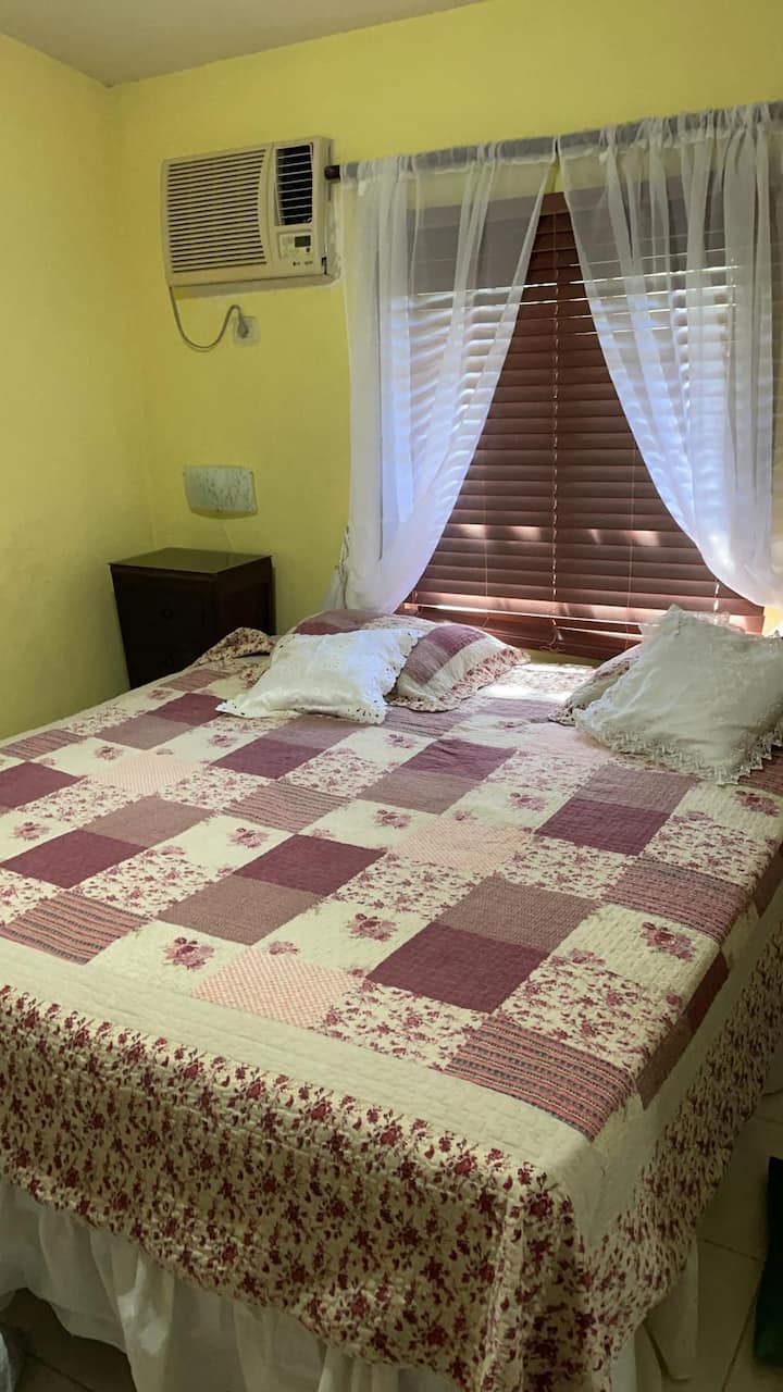 Dhomë gjumi master me ajër të kondicionuar, ventilator, TV dhe banjë private