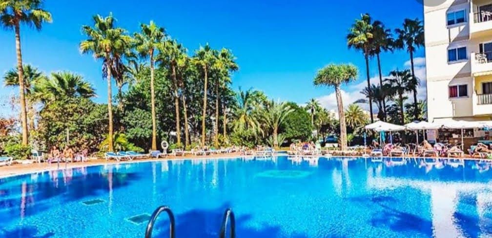 A large outdoor swimming pool is surrounded by tropical palm trees and lounge chairs. Sunlight reflects on the clear water, and a few guests can be seen relaxing under umbrellas. A vibrant garden area is visible in the background.