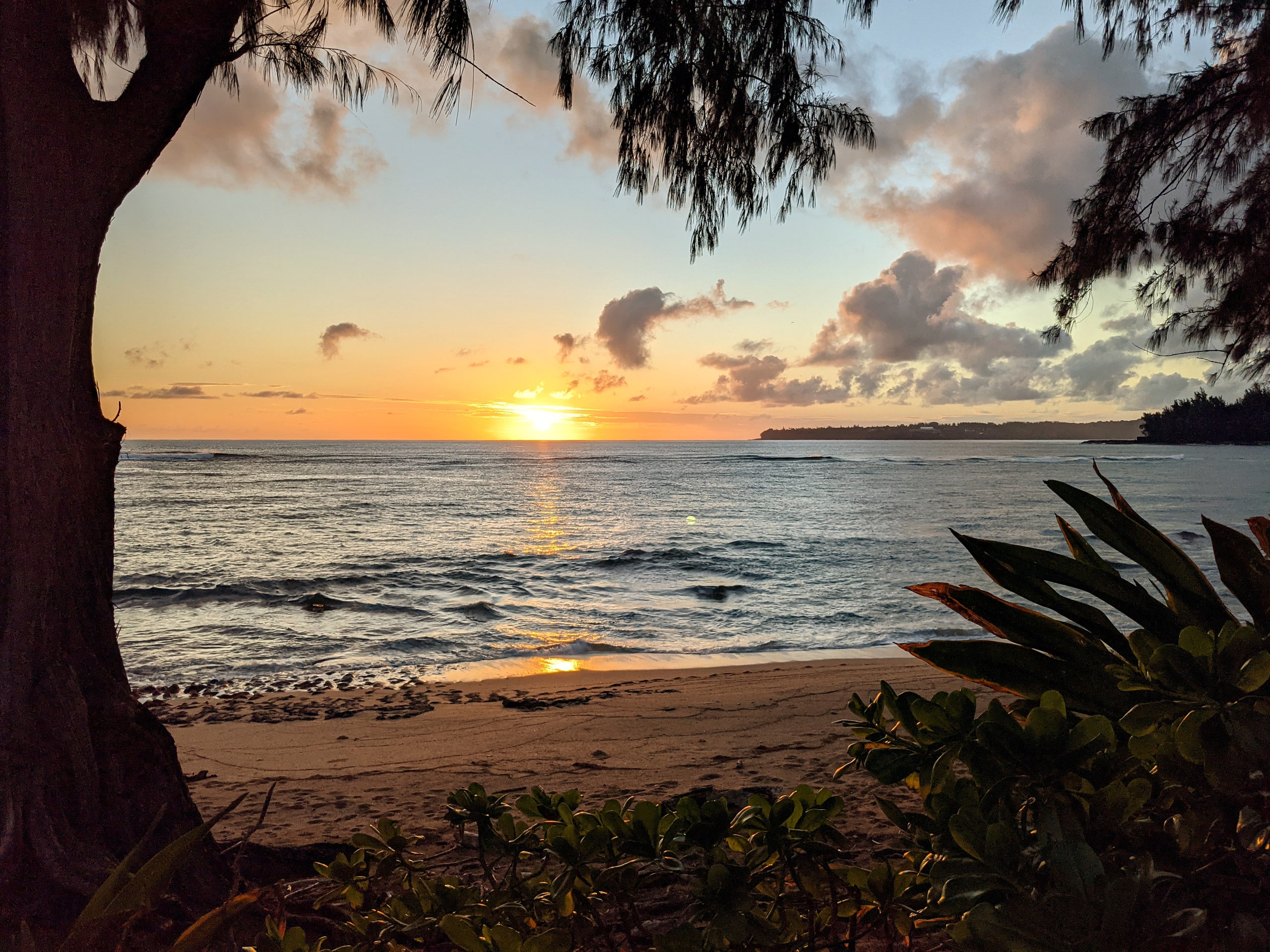 New! Oceanfront Haena Cottage - Steps to the Beach - Photo 21
