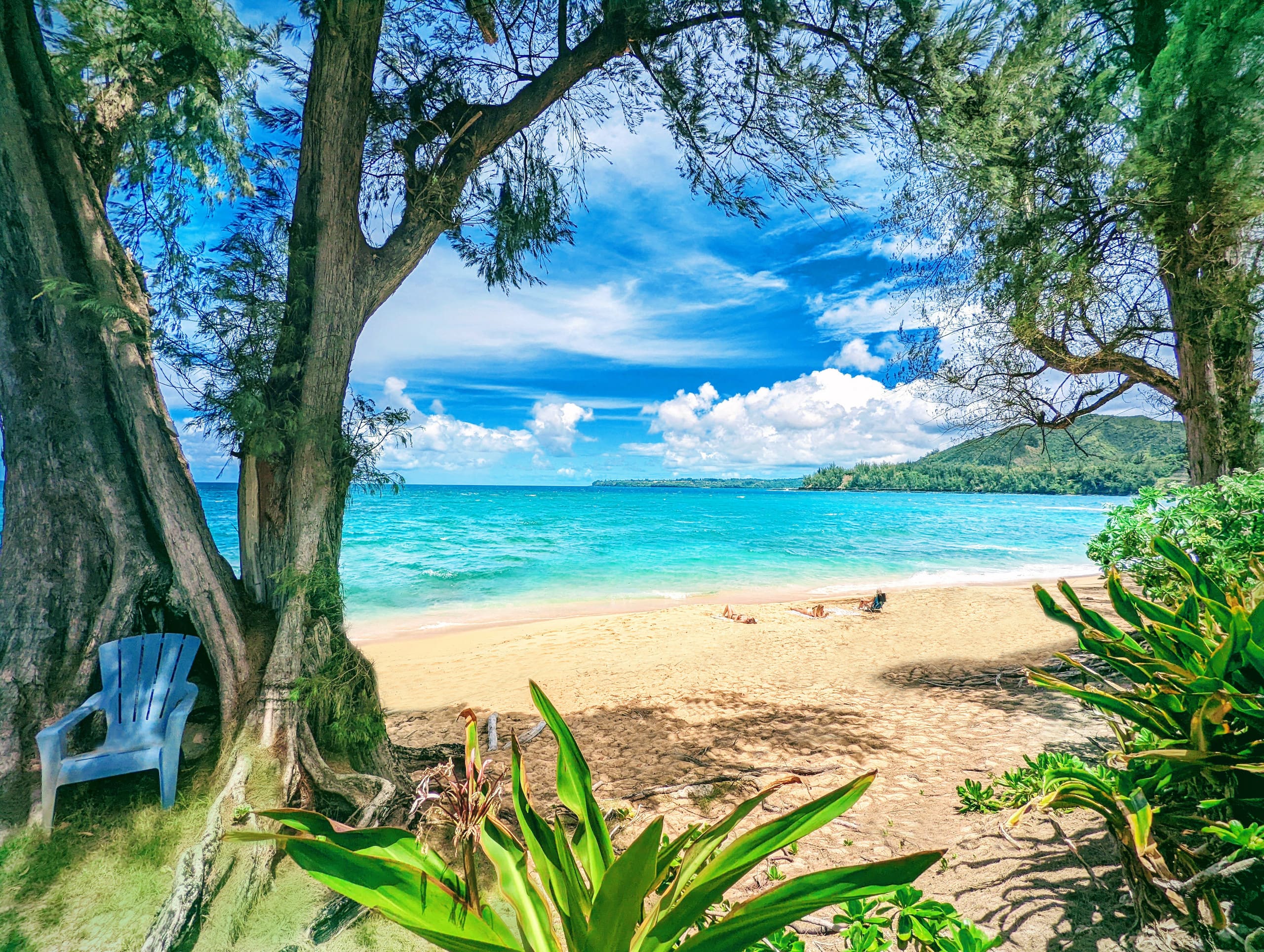 New! Oceanfront Haena Cottage - Steps to the Beach - Photo 19