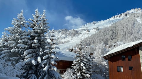 Large family apartment, Center