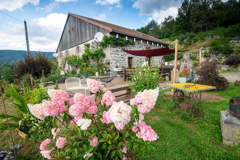 Hautes Vosges Gîte, 8-12p surrounded by nature