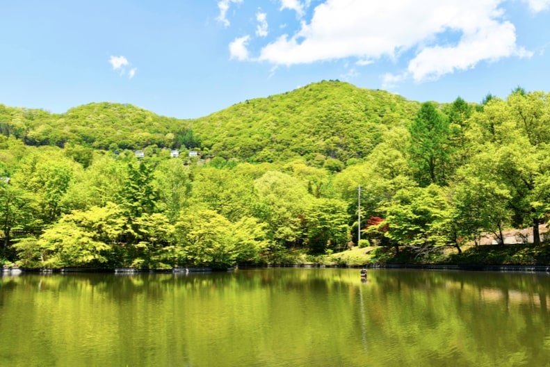 A serene lake is surrounded by lush greenery and rolling hills under a clear blue sky. The calm water reflects the vibrant colors of the trees, creating a peaceful and natural atmosphere.