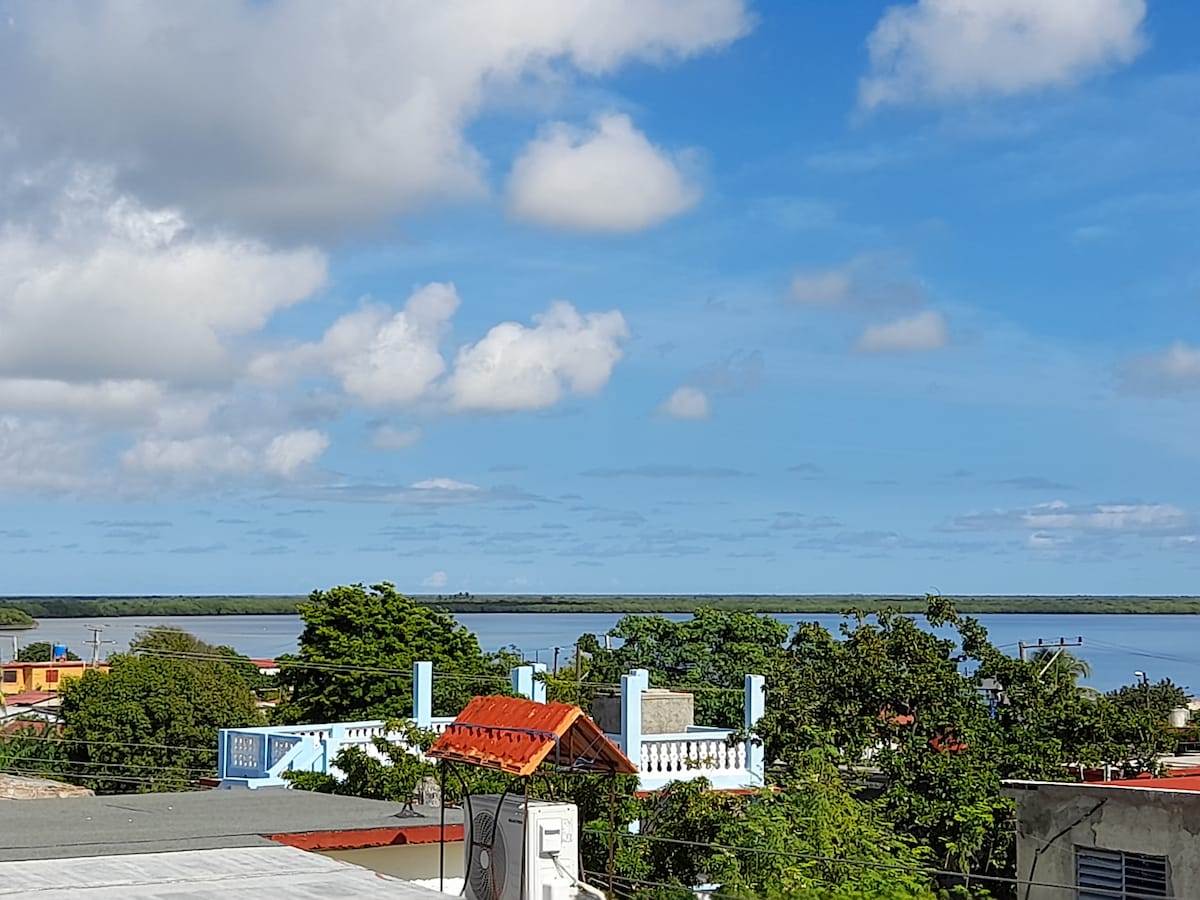 A clear view of the bay is presented, highlighted by lush greenery and colorful rooftops in the foreground. The sky is partly cloudy, allowing soft light to reflect off the water's surface, enhancing the serene landscape.