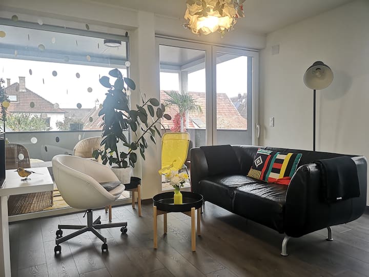 The radiant house, between Strasbourg Haguenau Houses for Rent in