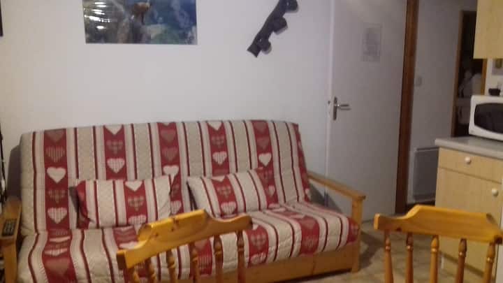 Appartement 4/6 P 250 M Du Télésiège Du Linga - Châtel
