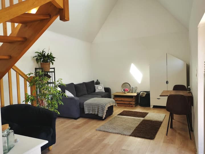 Ty Bleiz, Charmante Maison En Pierre, 3kms Plages - Trégastel