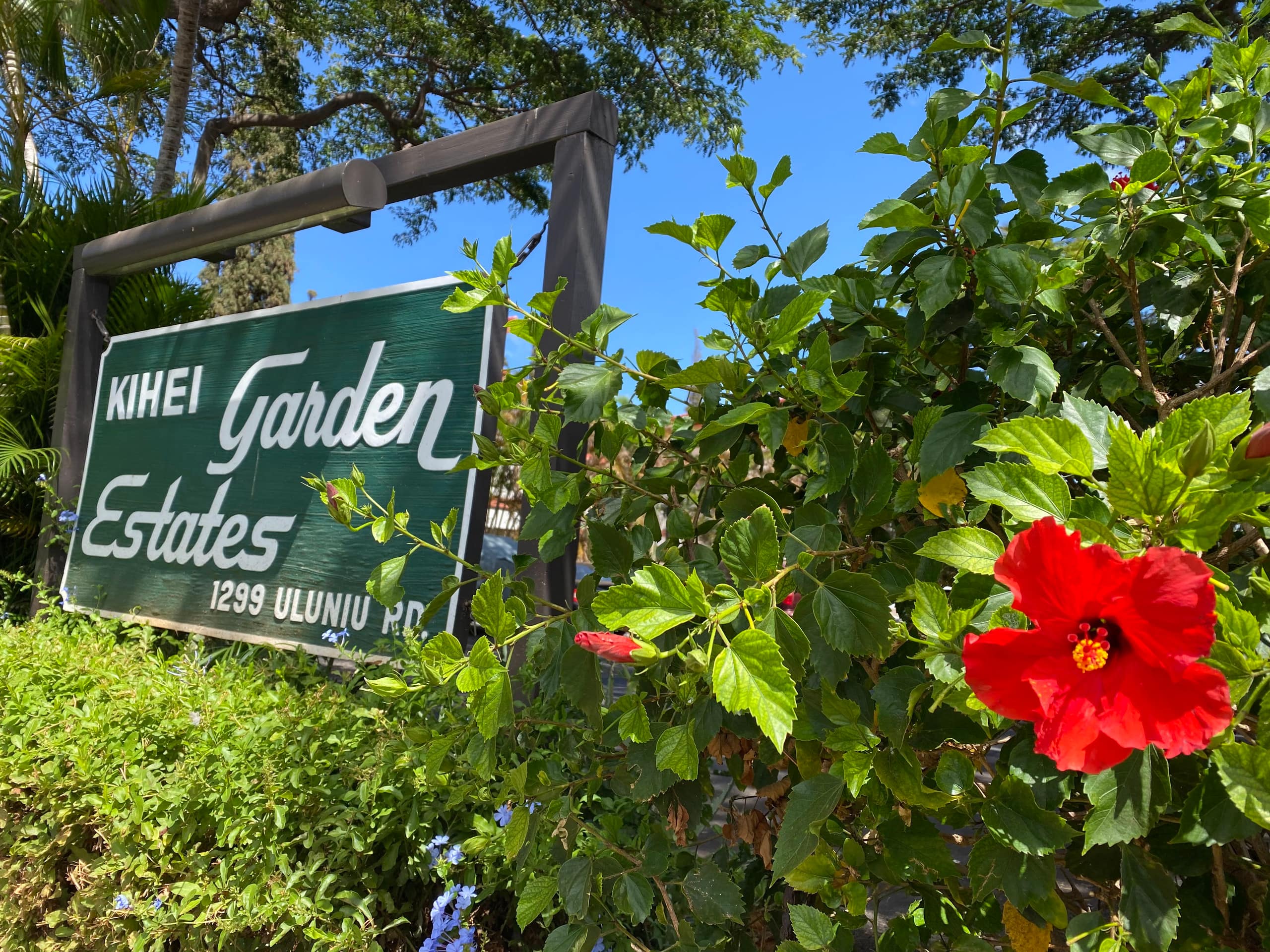Condo in Kihei · ★4.95 · 2 bedrooms · 4 beds · 1 bath - Image 47