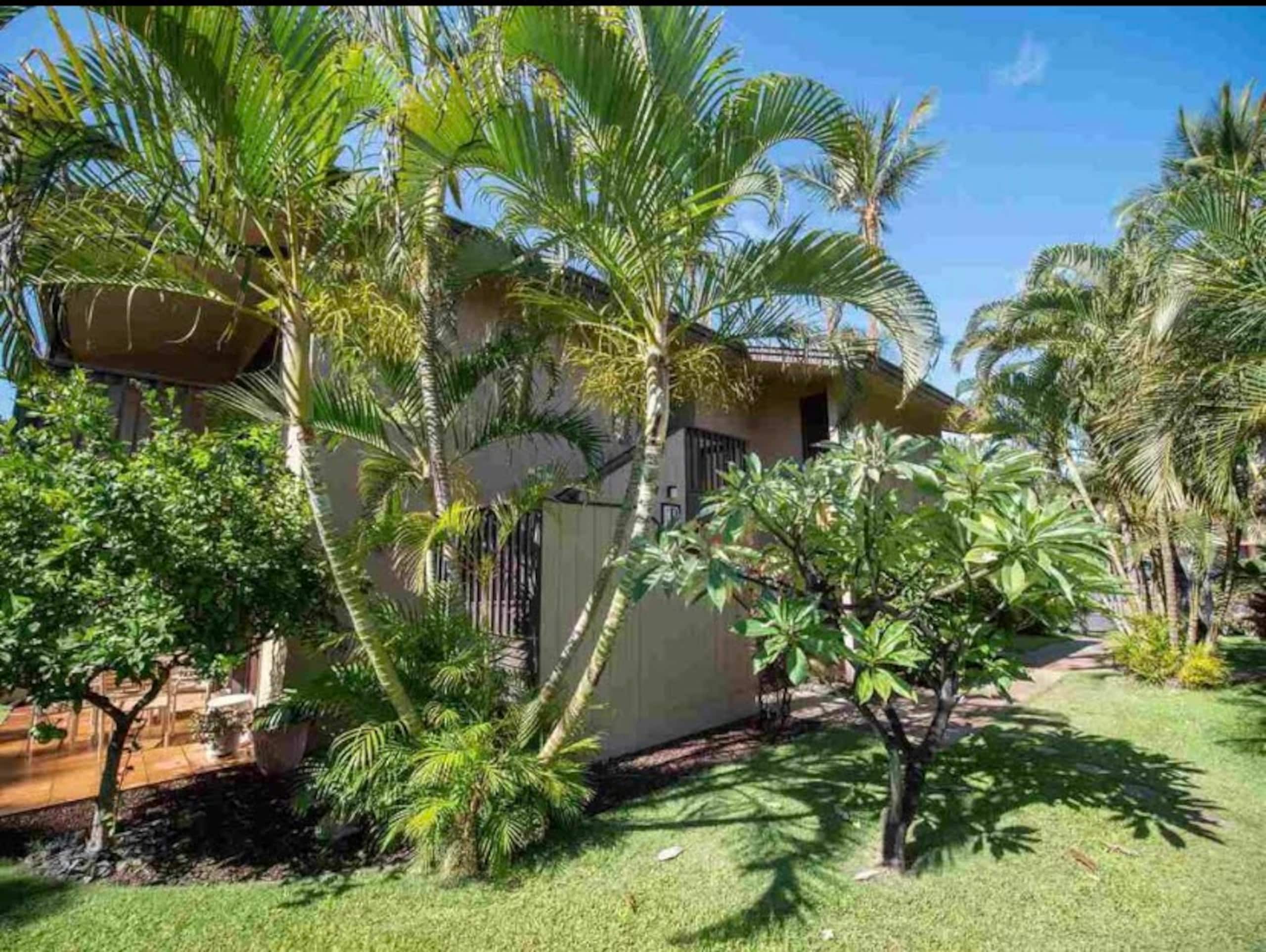 Condo in Kihei · ★4.95 · 2 bedrooms · 4 beds · 1 bath - Image 28