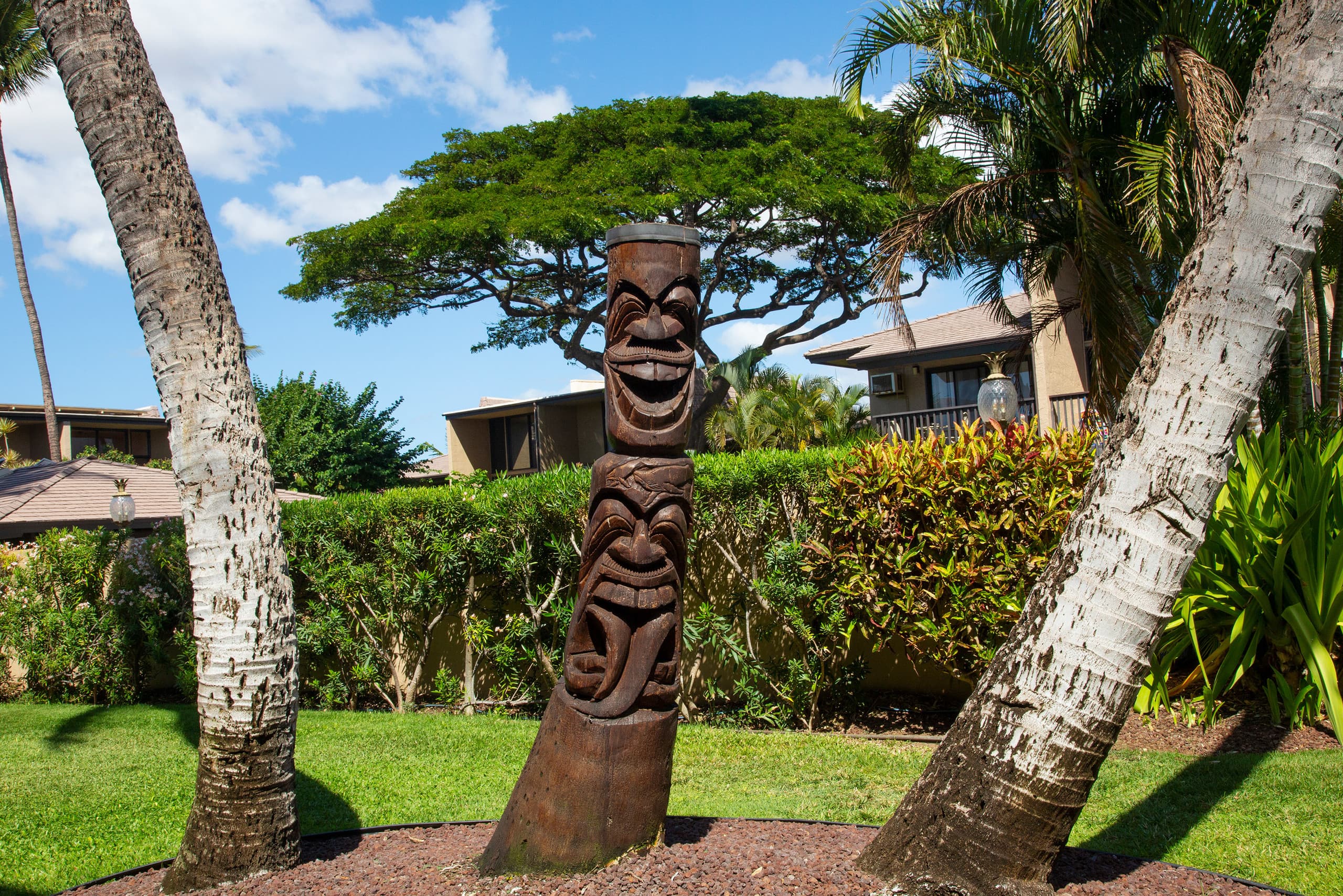Condo in Kihei · ★4.95 · 2 bedrooms · 4 beds · 1 bath - Image 29
