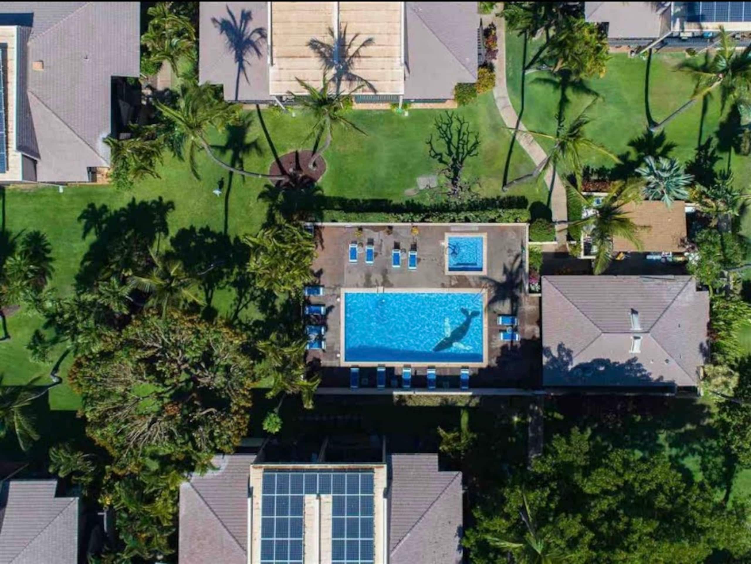 Condo in Kihei · ★4.95 · 2 bedrooms · 4 beds · 1 bath - Image 45
