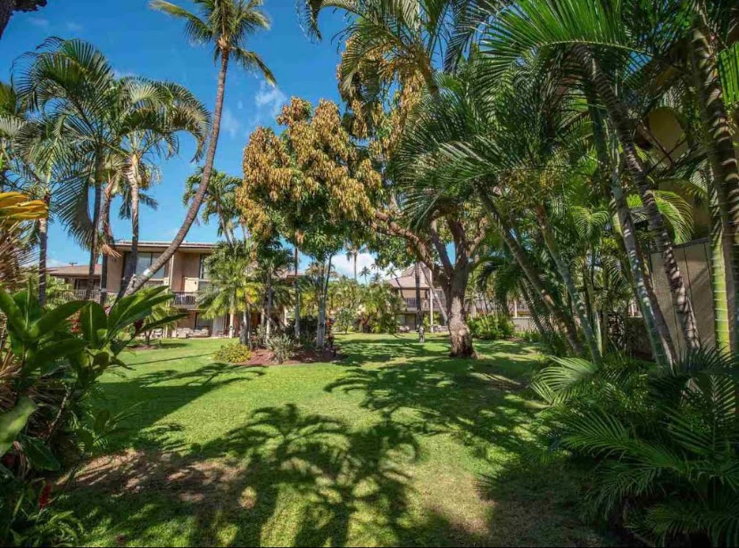 Condo in Kihei · ★4.95 · 2 bedrooms · 4 beds · 1 bath - Image 27