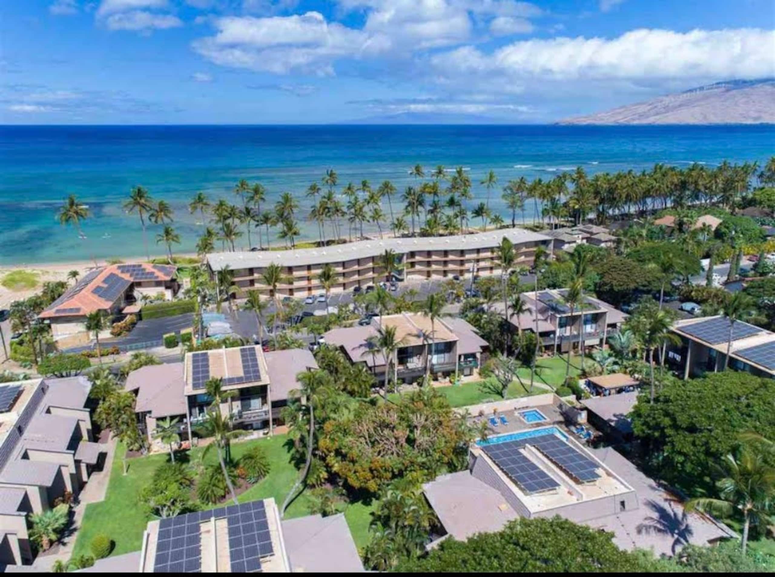 Condo in Kihei · ★4.95 · 2 bedrooms · 4 beds · 1 bath - Image 30