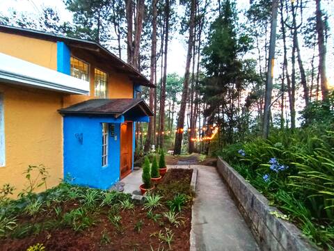 Cabin in the Woods / Relax near Antigua