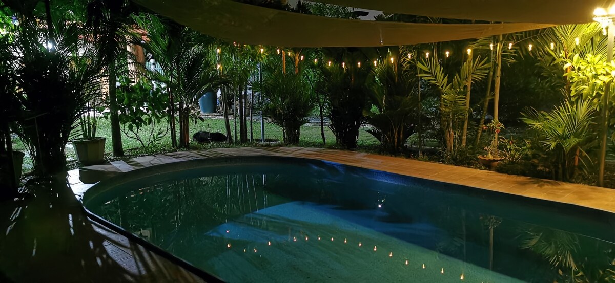 A tranquil pool is illuminated by soft lighting, surrounded by lush greenery and palm trees. The atmosphere is enhanced by decorative string lights overhead, creating a serene space for relaxation. The gentle ripples in the water reflect the surrounding plants, inviting quiet evenings.