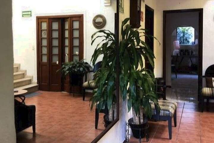 Casa Maria Elena, Col. Condesa 6Room&7Bath&Yard gallery image 4