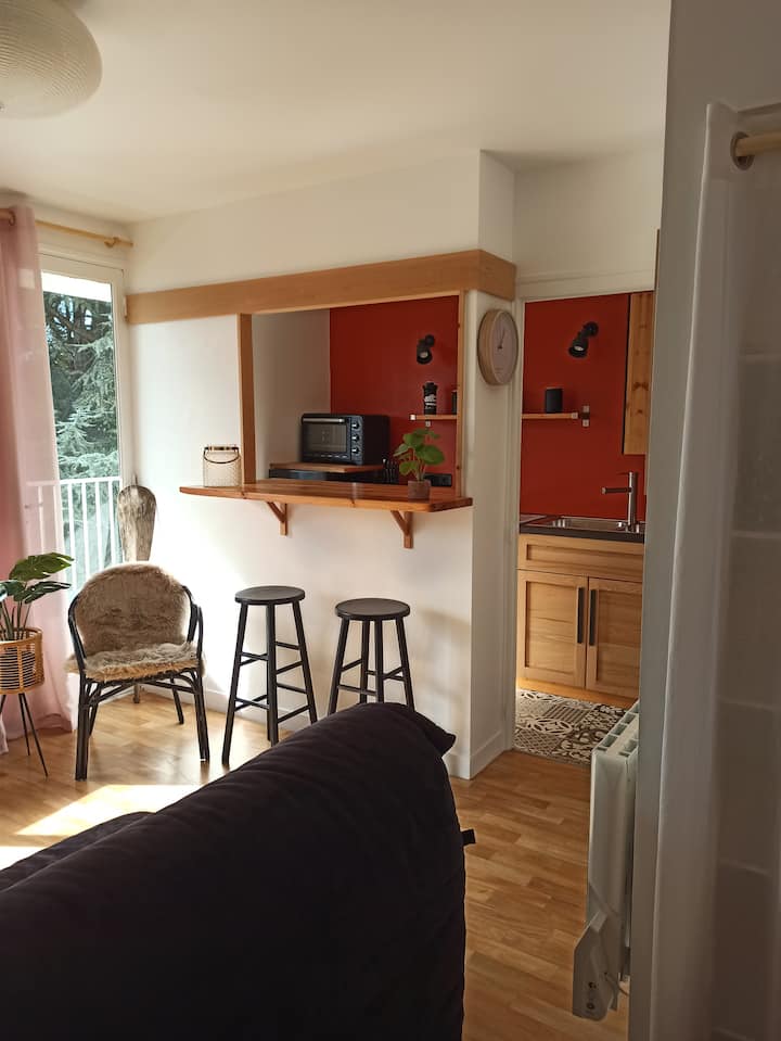 Beau Studio, Lumineux Avec Balcon,  Bord De Mer - Le Pouliguen