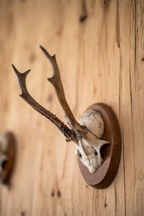bergfried - Design apartment with a view