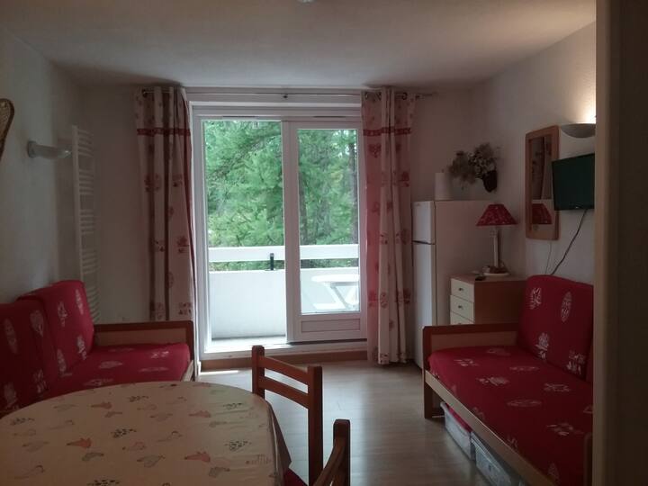 nice mountain apartment 150 m from the slopes Apartments for Rent in